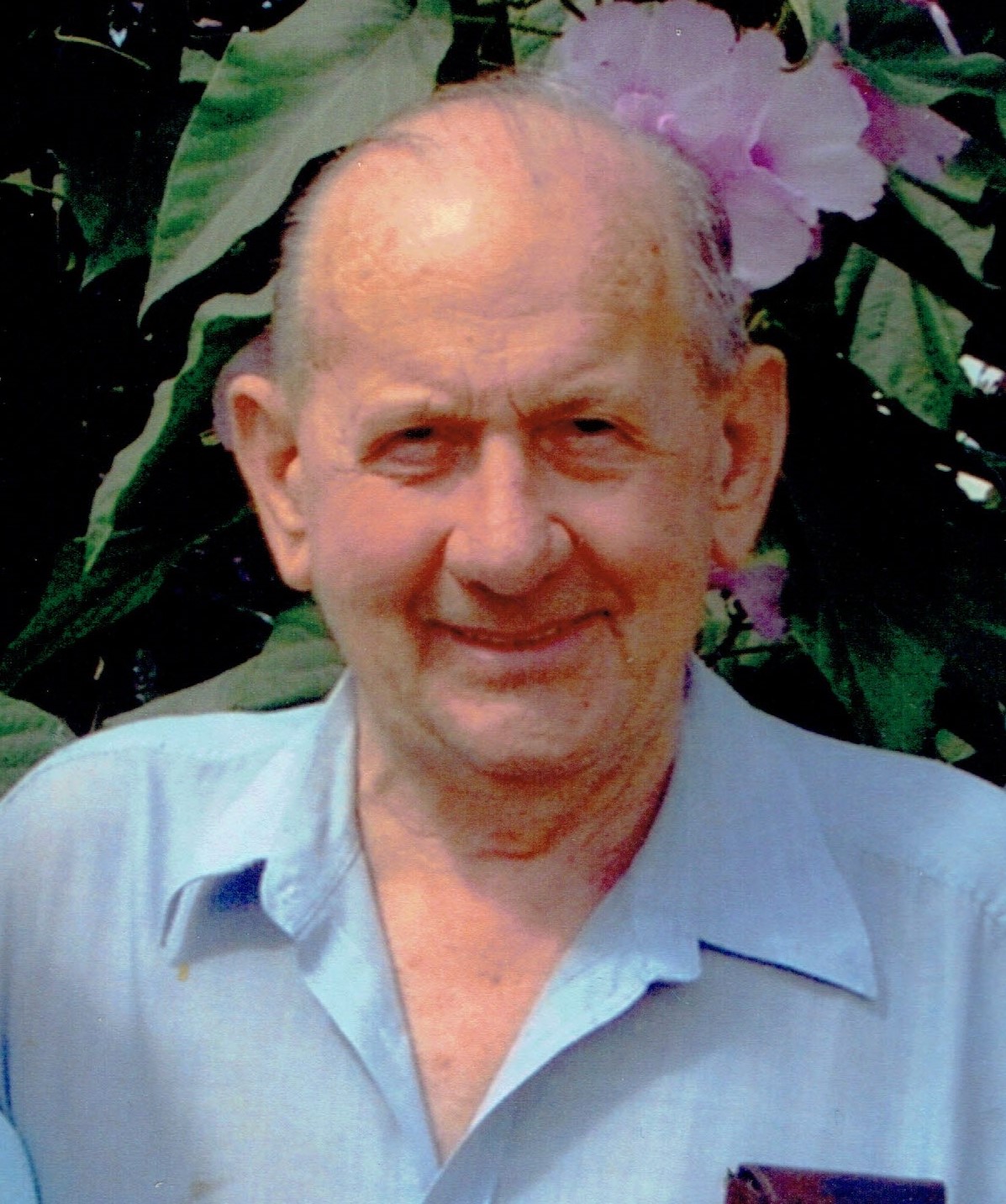 Franks LH 09.11 Cropped 1