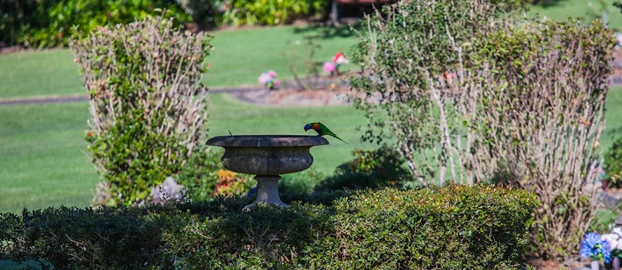 Transparent Care Facilities