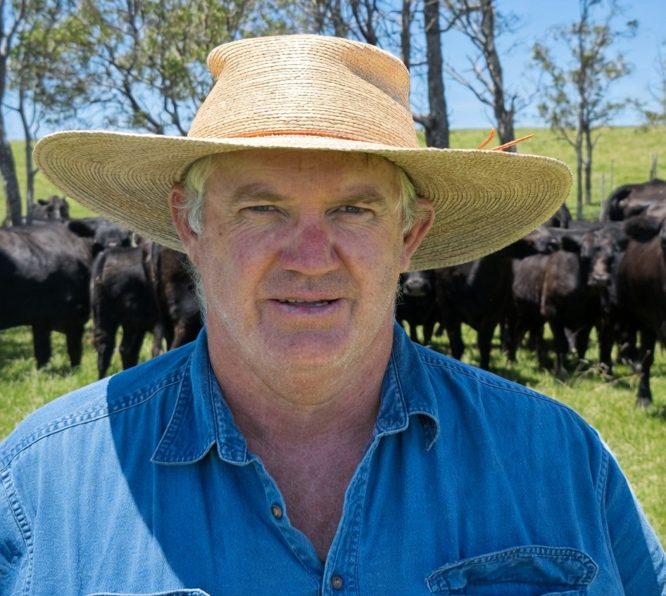 Schwartz BL 20.03 replacement